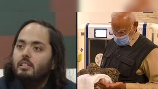 
বন‍্যপ্রাণী সংরক্ষণে কেন তৈরি করেছেন ‘বনতারা’? আসল কারণ জানালেন অনন্ত আম্বানি