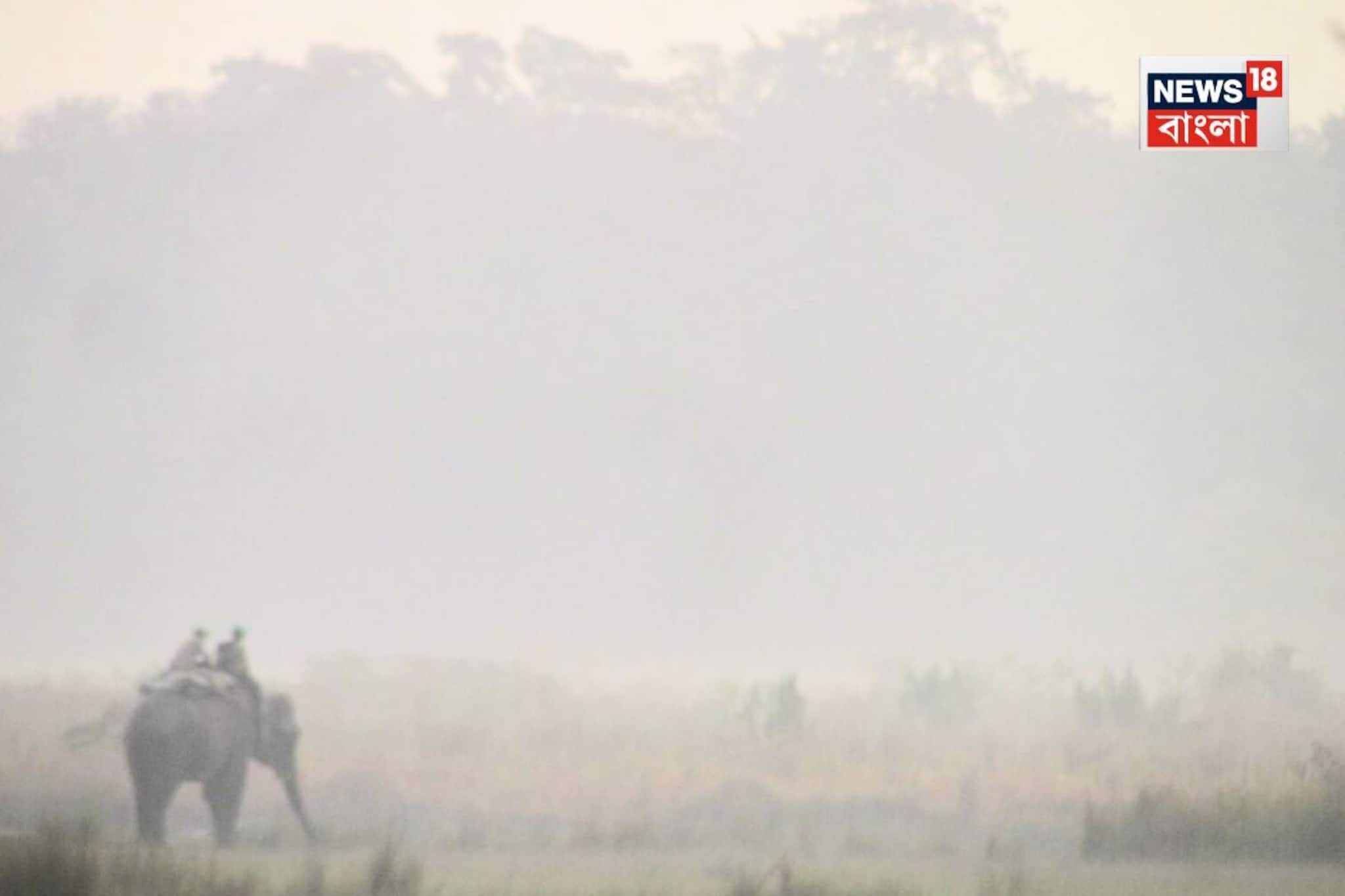 জলদাপাড়ায় শুরু হল গণ্ডার গণনা ২০২৫, পর্যবেক্ষণে ৭০ হাতি ও বিশেষজ্ঞ দল