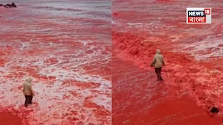 অবাক কাণ্ড, ইরানে হঠা‍ৎ ভয়ঙ্কর 'রক্ত বৃষ্টি'তে বদলে গেল সমুদ্র তট, জলের রং! ভয়ঙ্কর আতঙ্কে স্থানীয় বাসিন্দারা, দেখুন ভিডিও...