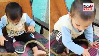 রিলের নেশায় এ কী ভয়ঙ্কর কাণ্ড! শিশুর গায়ে ছেড়ে দেওয়া হল ভয়ঙ্কর বিষধর সাপ, তারপর যা হল...দেখুন ভিডিও...
