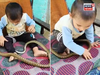 রিলের নেশায় এ কী ভয়ঙ্কর কাণ্ড! শিশুর গায়ে ছেড়ে দেওয়া হল ভয়ঙ্কর বিষধর সাপ, তারপর যা হল...দেখুন ভিডিও...