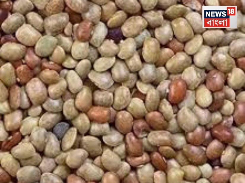 কুলঠি ডাল কী? কুলঠি ডাল, যাকে হর্স গ্রাম (Horse Gram) বলা হয়, এটি বিশ্বের সবচেয়ে পুরনো ডালগুলোর মধ্যে একটি। হাজার বছর ধরে এটি খাওয়া হয়ে আসছে এবং আয়ুর্বেদে এক অসাধারণ ঔষধি হিসেবে বিবেচিত। কিডনি ও ব্লাডারের পাথর দূর করতে এটি বিশেষ ভূমিকা রাখে।