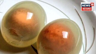 কোন পাখির ডিম সেদ্ধ করলে তা একবারে স্বচ্ছ হয়ে যায় জানেন? উপর থেকেই দেখতে পাবেন হলুদ কুসুম! ৯৯% মানুষই জানেন না সঠিক উত্তর...