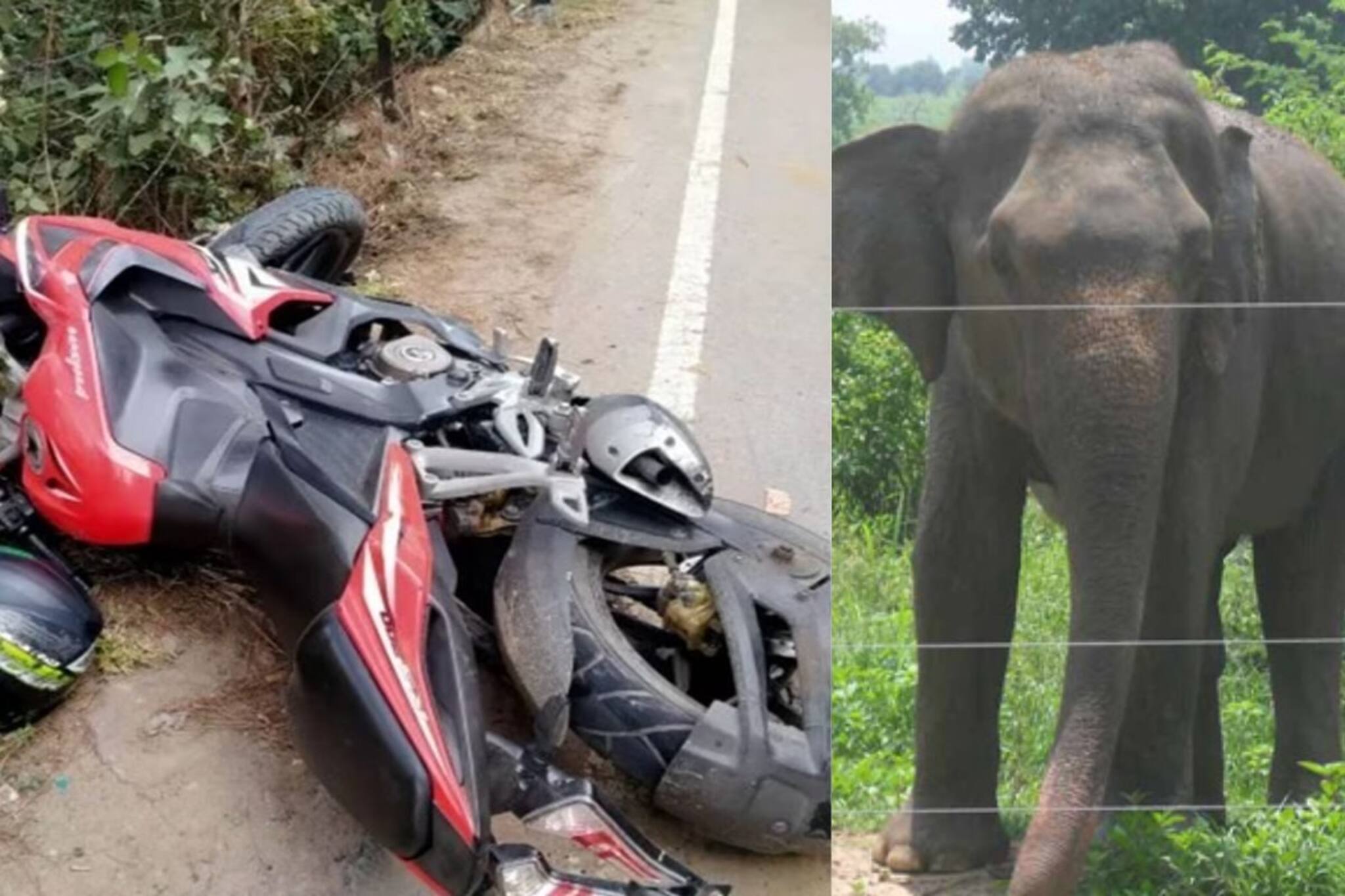মর্মান্তিক, বাইক নিয়ে সজোরে ধাক্কা! হাতি আটকানোর বিদ্যুতের তারে জড়িয়ে মৃত্যু কলেজ পড়ুয়ার