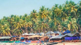 ‘হাঁপিয়ে উঠেছিলেন...’, আমেরিকা ছেড়ে গোয়াতেই থিতু হলেন এই ব‍্যক্তি! কী সমস‍্যায় পড়েন মার্কিন মুলুকে?