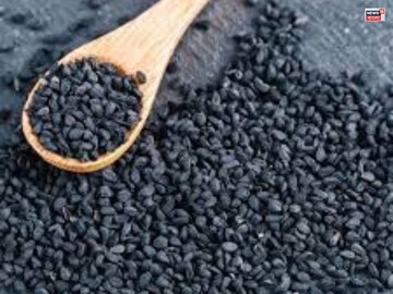 ওজন কমাতে গিয়ে ভুল ওষুধ খেয়ে বড় বিপদ ডেকে আনবেন না, কালোজিরেই হতে পারে আপনার মহৌষধ... ওজন কমাতে গিয়ে ভুল ওষুধ খেয়ে বড় বিপদ ডেকে আনবেন না, কালোজিরেই হতে পারে আপনার মহৌষধ...