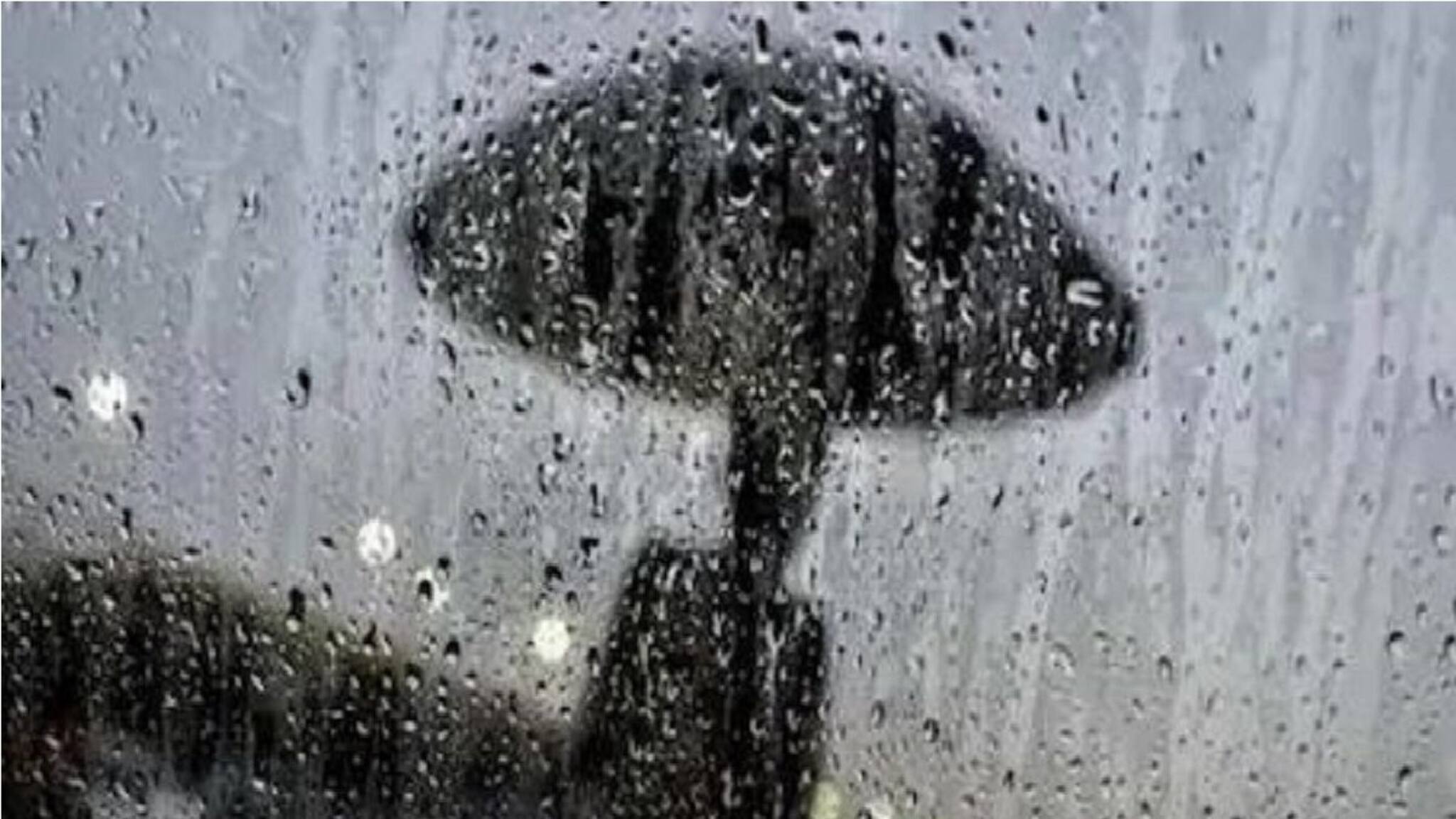 ৪৮-৯৬ ঘণ্টা চলবে বৃষ্টির দাপট...! বসন্তের বর্ষণে কোন কোন জেলা ভাসবে? আবহাওয়ার বড় খবর