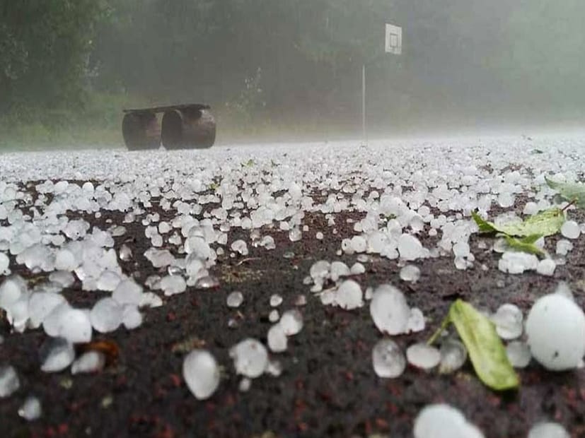 উত্তরবঙ্গের আবহাওয়া: উত্তরবঙ্গে সব জেলায় কালবৈশাখী ও বৃষ্টির সম্ভাবনা থাকায় হলুদ সতর্কতা জারি রয়েছে। ২২ মার্চের জন্য কালিম্পং, আলিপুরদুয়ার, দক্ষিণ দিনাজপুর ও মালদহে কমলা সতর্কতা জারি হয়েছে। ২৩ মার্চ থেকে উত্তরবঙ্গের সব জেলায় ফের হলুদ সতর্কতা জারি থাকবে। 