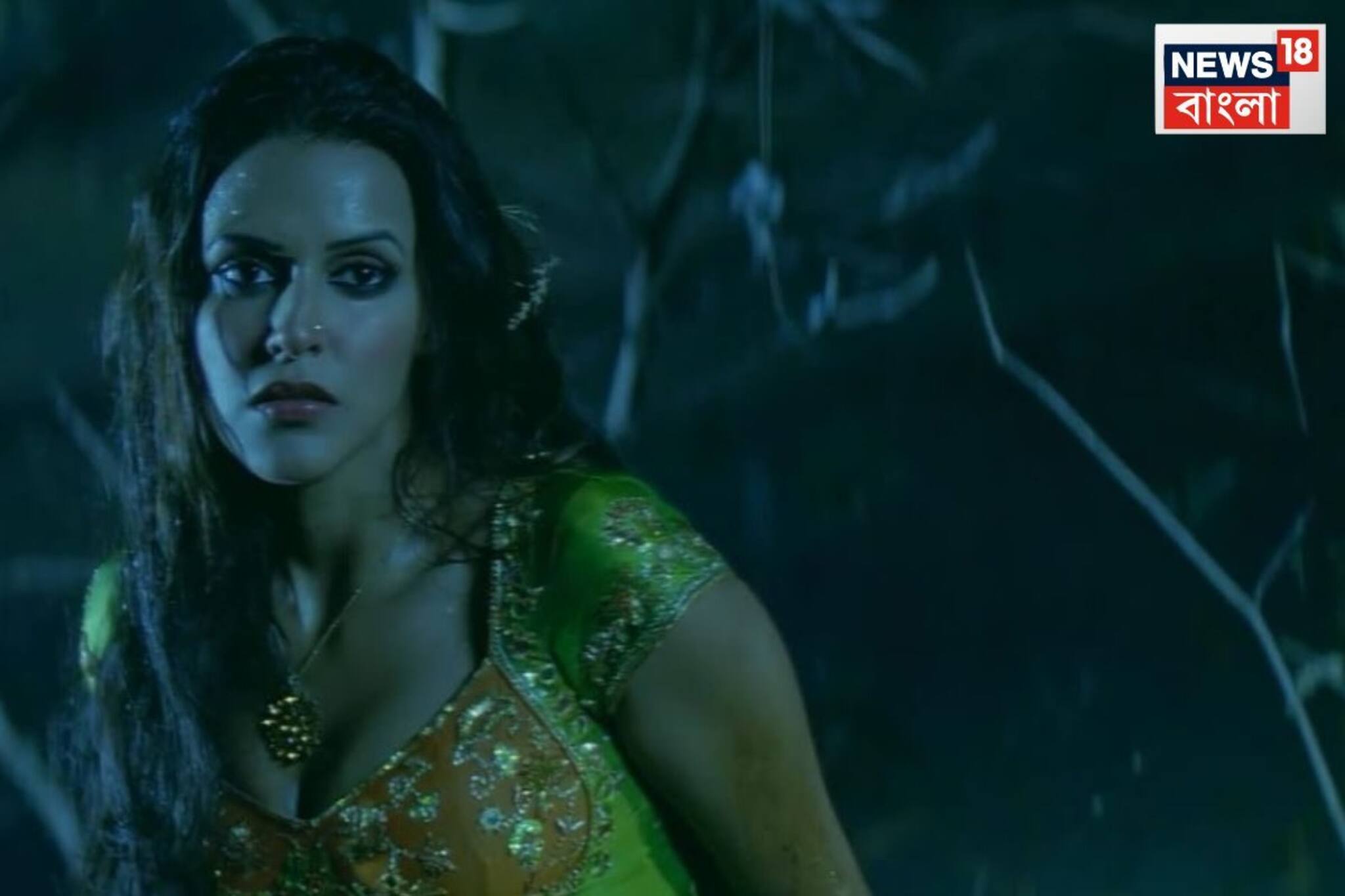 ১ গানেই উঠে এল টাকা, খরচের ২৪ গুণ কামাই করল হিট ছবি! আবার হিরো-হিরোইন একসঙ্গে