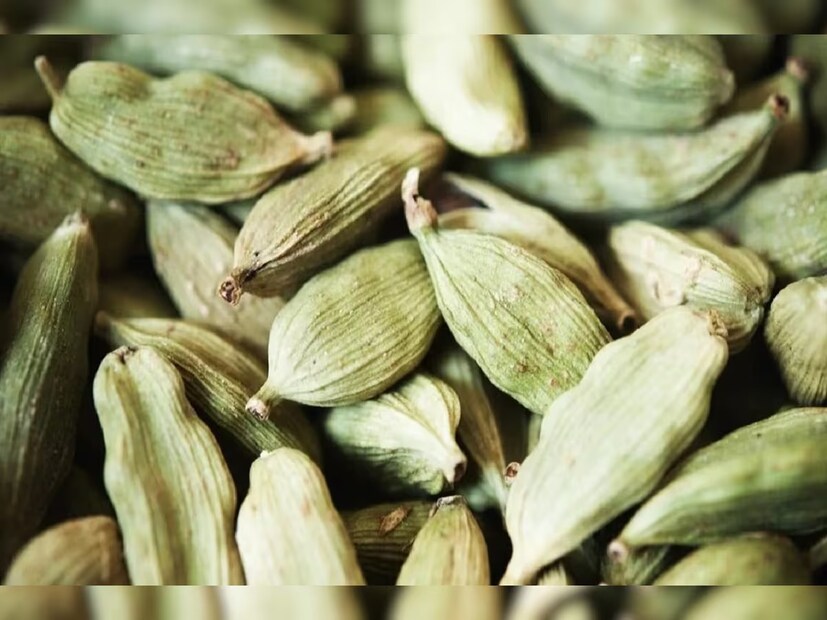 ওজন কমানোর ক্ষেত্রেও সবুজ এলাচের ব্যবহার খুবই উপকারী প্রমাণিত হতে পারে। রাতে ঘুমানোর আগে সবুজ এলাচ খেলে তা শরীরে জমে থাকা চর্বি কমাতে সাহায্য করে। এতে পটাশিয়াম, ম্যাগনেসিয়াম, ফাইবার, ক্যালসিয়াম পাওয়া যায় যা ওজন নিয়ন্ত্রণে সাহায্য করে।