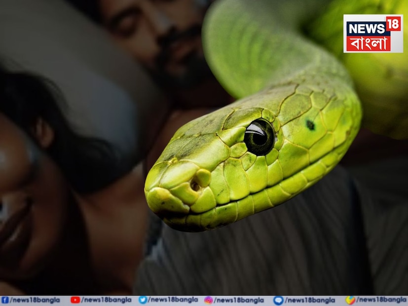 হতভাগ্য স্বামী প্রমোদ বলছেন, তাঁর মাথায় কিছুই ঢুকছে না—কীভাবে সাপ বন্ধ ঘরের ভেতরে ঢুকল, আর কেন শুধুমাত্র তাঁর স্ত্রীকেই কামড়াল? অথচ তিনিও একই বিছানায় ঘুমোচ্ছিলেন! স্ত্রীর রহস্যজনক মৃত্যুতে পুরো পরিবার শোকে মুহ্যমান। তাঁদের দুই সন্তান মায়ের শোকে কান্নায় ভেঙে পড়েছে।  