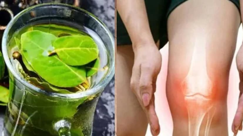 পুদিনায় অনেক গুরুত্বপূর্ণ গুণাগুণ পাওয়া যায়, যা এটি ইউরিক অ্যাসিড কমাতে কার্যকর করে তোলে। পুদিনায় প্রচুর পরিমাণে আয়রন, পটাসিয়াম এবং ম্যাঙ্গানিজ রয়েছে। এছাড়াও, এটি ভিটামিন এ এবং ফোলেটের একটি ভাল উৎস। পুদিনা সেবনের ফলে প্রস্রাব থেকে পিউরিন কমায় এবং শরীরকে আরও টক্সিনমুক্ত করে।