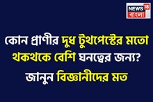 কোন প্রাণীর দুধ টুথপেস্টের মতো থকথকে বেশি ঘনত্বের জন্য? সঠিক উত্তর অজানা ৯৯%-এর কাছেই