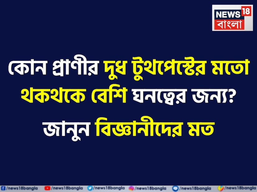 গভীর সমুদ্রের তলদেশের মতো সেখানে বসবাসকারী প্রাণীও রহস্যের আধার৷ তাদের নিয়ে এখনও বহু রহস্য মানুষের কাছে অজানা৷ সেরকমই একটি প্রাণী হল তিমিমাছ৷ পৃথিবীতে একাধিক প্রজাতির তিমিমাছ আছে৷ প্রাণিবিজ্ঞানীরা তাঁদের গবেষণা চালাচ্ছেন তিমি নিয়ে৷