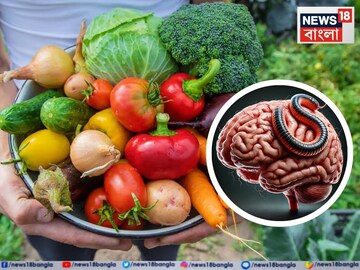 কৃমির ডেরা...! বর্ষাকালে দাঁতে কাটবেন না 'এই' ফল-সবজি, পেটে গেলেই মস্তিষ্কে পেঁচিয়ে ধরবে