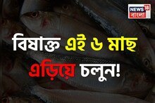 পেটে গেলেই বিষক্রিয়া! যতই মাছ ভালবাসুন...এড়িয়ে চলবেন কোন ৬ 'মাছ'? খাওয়া বন্ধ করুন এখনই