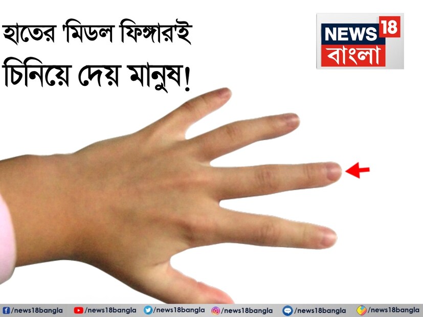 ৪. স্বাভাবিকের চেয়ে ছোট মধ্যমা আঙুল যাদের মধ্যমা আঙুল স্বাভাবিকের তুলনায় ছোট, তাঁদের ব্যক্তিত্ব রহস্যময় হয়ে থাকে। এই ধরনের মানুষদের বোঝা একটু কঠিন। তারা সবসময় একা থাকতে পছন্দ করেন এবং ভিড়ের সঙ্গে চলতে ভালবাসেন না। তবে তাঁরা পরিবার, বন্ধু এবং জীবনসঙ্গীর প্রতি অত্যন্ত বিশ্বস্ত হন। 