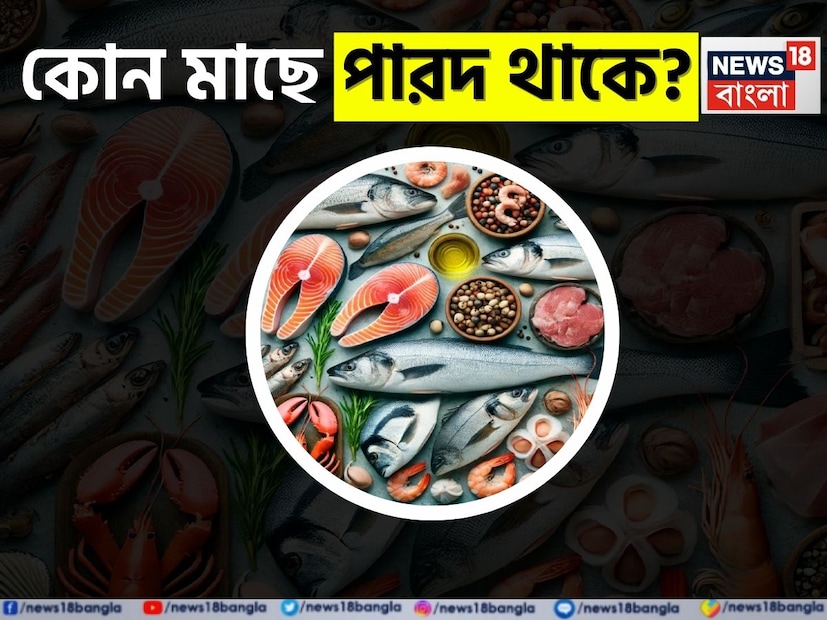 পারদের ধরনঃ   পারদের দুটি প্রধান রূপ রয়েছে—  
1. মিথাইলমার্কারি (Methylmercury)  
2. এলিমেন্টাল মার্কারি (Elemental mercury)  
