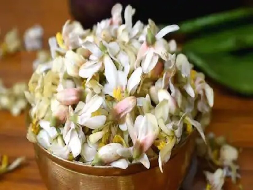 সজনেশাক ও ডাঁটার ভিটামিন সি রোগ প্রতিরোধ শক্তি মজবুত করে। ক্ষতির হাত থেকে রক্ষা করে দেহকোষকে। সজনে ডাঁটায় ক্যালোরি বা ফ্যাট খুব কম। তবে ফাইবার প্রচুর বেশি। ফাইবার দীর্ঘ ক্ষণ পেটে থাকে। ফলে ঘন ঘন খিদে পাওয়ার প্রবণতা কমে। বাড়তি ওজন নিয়ন্ত্রণ করে রোগা থাকতে সজনে ডাঁটা খেতে ভুলবেন না।