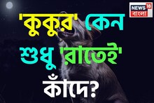 রাত ১২-৩টে...! ঠিক মাঝরাতে কুকুরের কান্না কি মৃত্যুর ইঙ্গিত? সর্বনাশ হওয়ার আগে জানুন কারণ