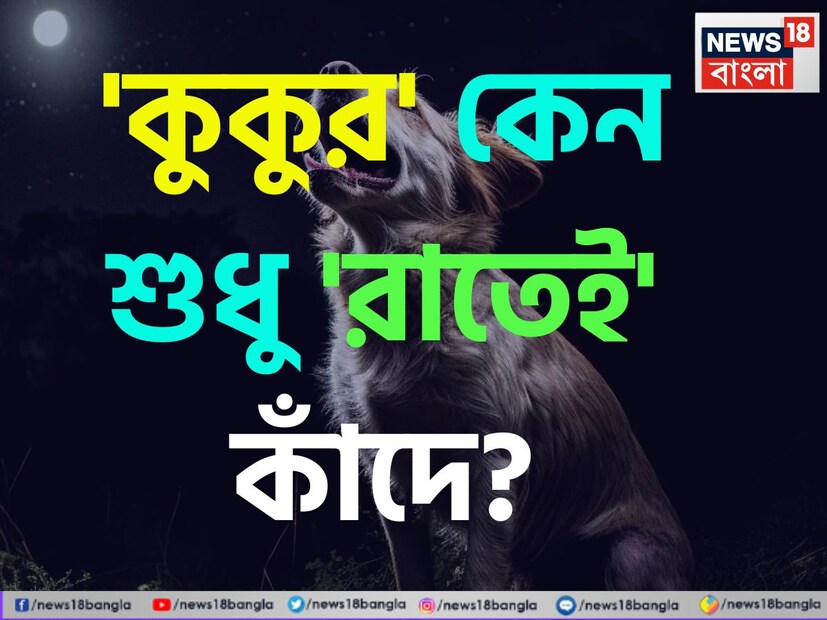 অনেক সময়েই আপনি নিশ্চয়ই লক্ষ্য করেছেন যে রাতে, বিশেষ করে রাত ১২:০০ থেকে ৩:০০ টের মধ্যে, বাড়ির বাইরের গেটের কাছে কুকুরটি কাঁদে এবং মনে হয় যেন একজন মানুষ  অনেকক্ষণ ধরে কাঁদছে। মাঝে মাঝে মানুষ ভয়ও পায়। 