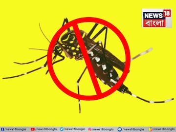 ত্রিসীমানায় ঘেঁষবে না মশা...! ঘরমোছার জলে জাস্ট দু' ফোঁটা মিশিয়ে দিন জাদু 'টোটকা' ত্রিসীমানায় ঘেঁষবে না মশা...! ঘরমোছার জলে জাস্ট দু' ফোঁটা মিশিয়ে দিন জাদু 'টোটকা'