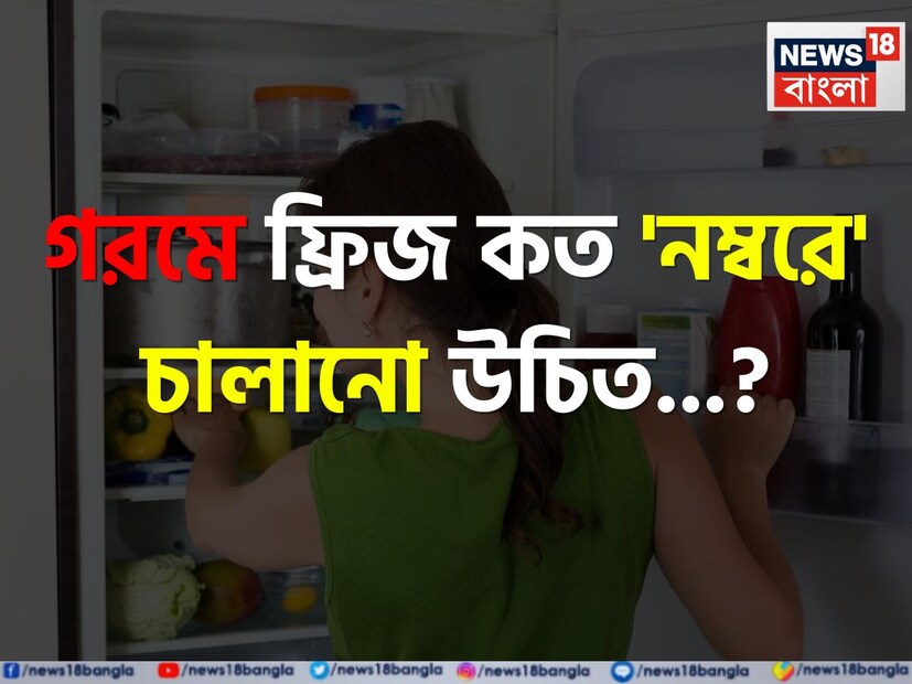 প্রতিটি ঋতুতে ফ্রিজ অত্যন্ত প্রয়োজনীয়। শীতকাল হোক বা গ্রীষ্ম, বাড়ির রেফ্রিজারেটরটির কখনও ছুটি নেই। ভারতে আমরা বিভিন্ন ধরণের আবহাওয়া অনুভব করি, তাই অনেক মানুষই আছেন যাঁরা বুঝতে পারেন না যে রেফ্রিজারেটরটি কোন তাপমাত্রায় সেট করা উচিত।