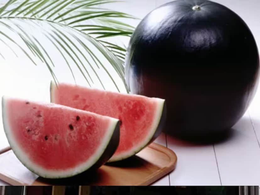 তরমুজ খাওয়ার সঠিক সময় কী? সকালে তরমুজ খাওয়া সবচেয়ে উপকারী। খালি পেটে এটি খেলে অনেক সুবিধা পাওয়া যায়। তরমুজ দুপুরের খাবারের আগে এক ঘণ্টা খাওয়া যেতে পারে।
