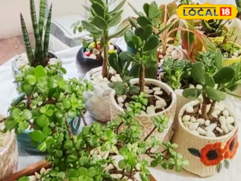 গরমে ঘর ঠান্ডা রাখার আরও কিছু ম্যাজিক উপায়:১) বাড়ির চারপাশে প্রচুর গাছপালা লাগাতে হবে। বাড়ির চারপাশে যত বেশি গাছ থাকবে, তত বেশি বাতাস চলাচল করবে এবং ঠান্ডা বাতাস বইবে। জানালার ধারে থাকা ছোট ছোট গাছপালাও গ্রীষ্মকালে শীতল বাতাস সরবরাহ করে এবং সেই টাটকা বাতাস আপনাকে সুস্থ রাখে।