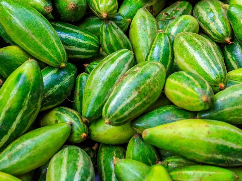 তবে সার্বিকভাবে তুল্যমূল্য বিচার করলে পার্শ্বপ্রতিক্রিয়া বা ক্ষতির থেকে পটলের উপকারিতাই বেশি। তাই ডাক্তারের তরফে নিষেধাজ্ঞা না থাকলে গরমে ভারসাম্য রেখে খেতেই পারেন পটল। 