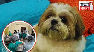 হরিপ্রসাদ হরিপ্রসাদ