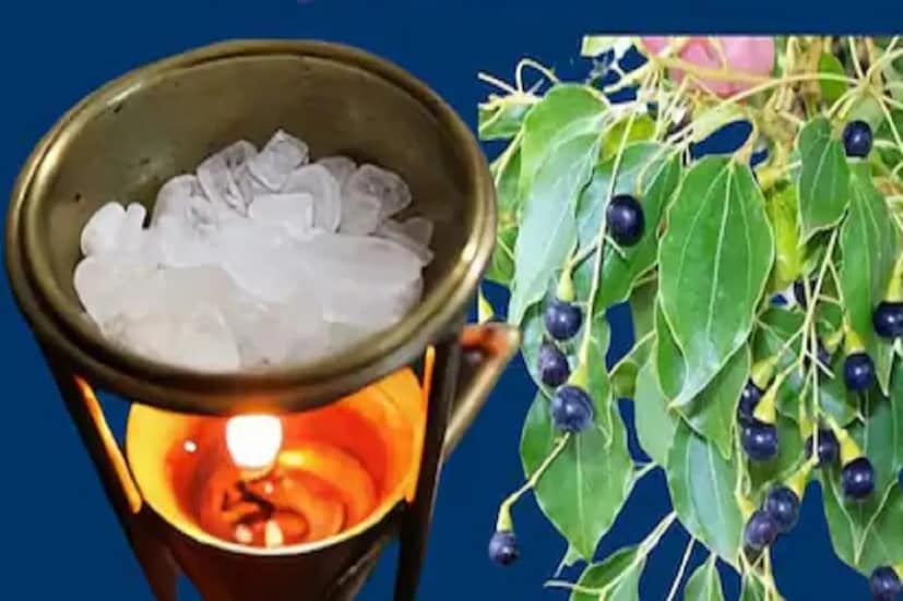 তামা বা পিতলের পাত্রে রাখা ওই কর্পূর পোড়া ছাই পর দিন কোন নদী বা পুকুরের জলে বিসর্জন দিন৷ এতে সংসার থেকে অশুভ শক্তির প্রভাব দূর হবে৷ সংসারে সুখ শান্তি ও অর্থবৃষ্টি বজায় থাকবে৷