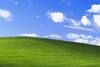 Windows XP-র আইকনিক ওয়ালপেপার মনে আছে? একসময়ের উজ্জ্বল ল্যান্ডস্কেপটি এখন কেমন দেখাচ্ছে