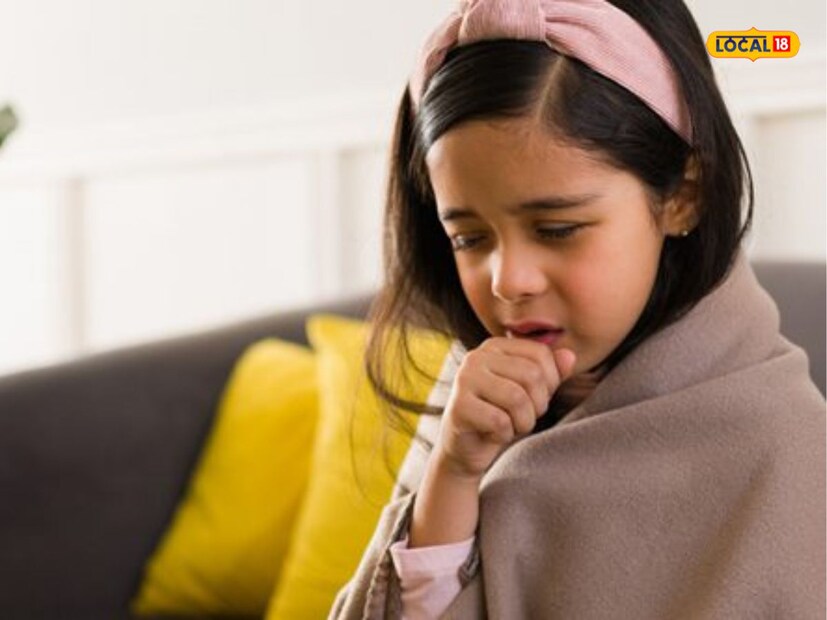 এ প্রসঙ্গে চিকিৎসক মনোসীজ জানা জানান, ট্রেনে বাসে চলার সময় মাফলার বা পাতলা জিনিসে নাকে কানে ঢেকে দিন। স্নান করার সময় ঠান্ডা-গরম জল ব্যবহার করুন। ট্রেন বাস বা বাইকে যাতায়াতের সময় সরাসরি হাওয়া লাগা সমস্যা বাড়াতে পারে। রাত বা ভোরের দিকে পাখার হাওয়া ঠান্ডা লাগা থেকে সতর্ক থাকতে হবে।