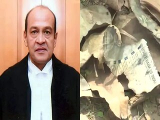 কী মিলল জানেন?