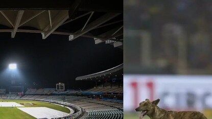 প্রতীকী ছবি প্রতীকী ছবি