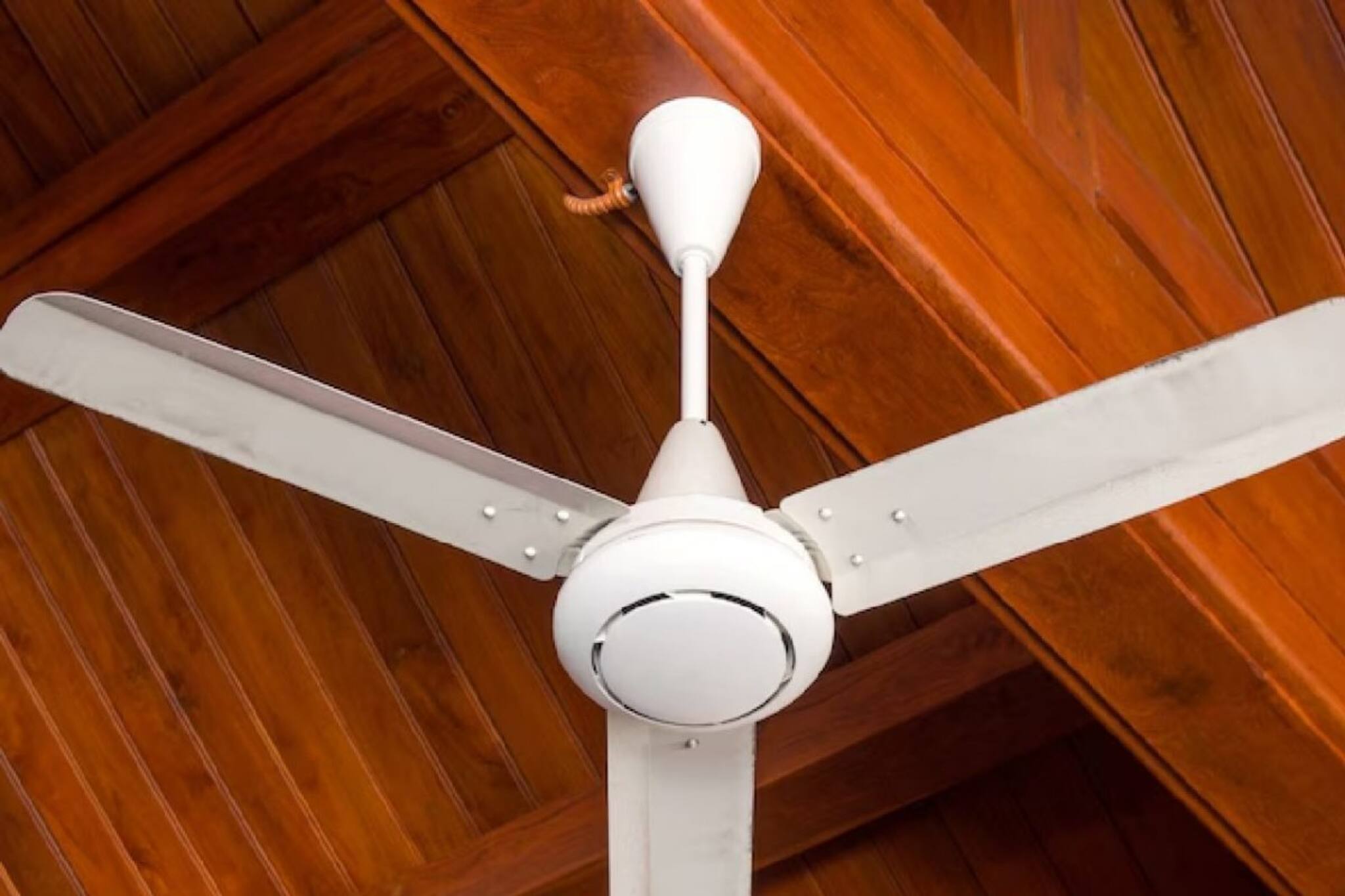 এসি লাগবে না! এই ফ্যান চললে গরমে শান্তি! ইলেকট্রিক বিল আসবে কম, ডাবল ফায়দা