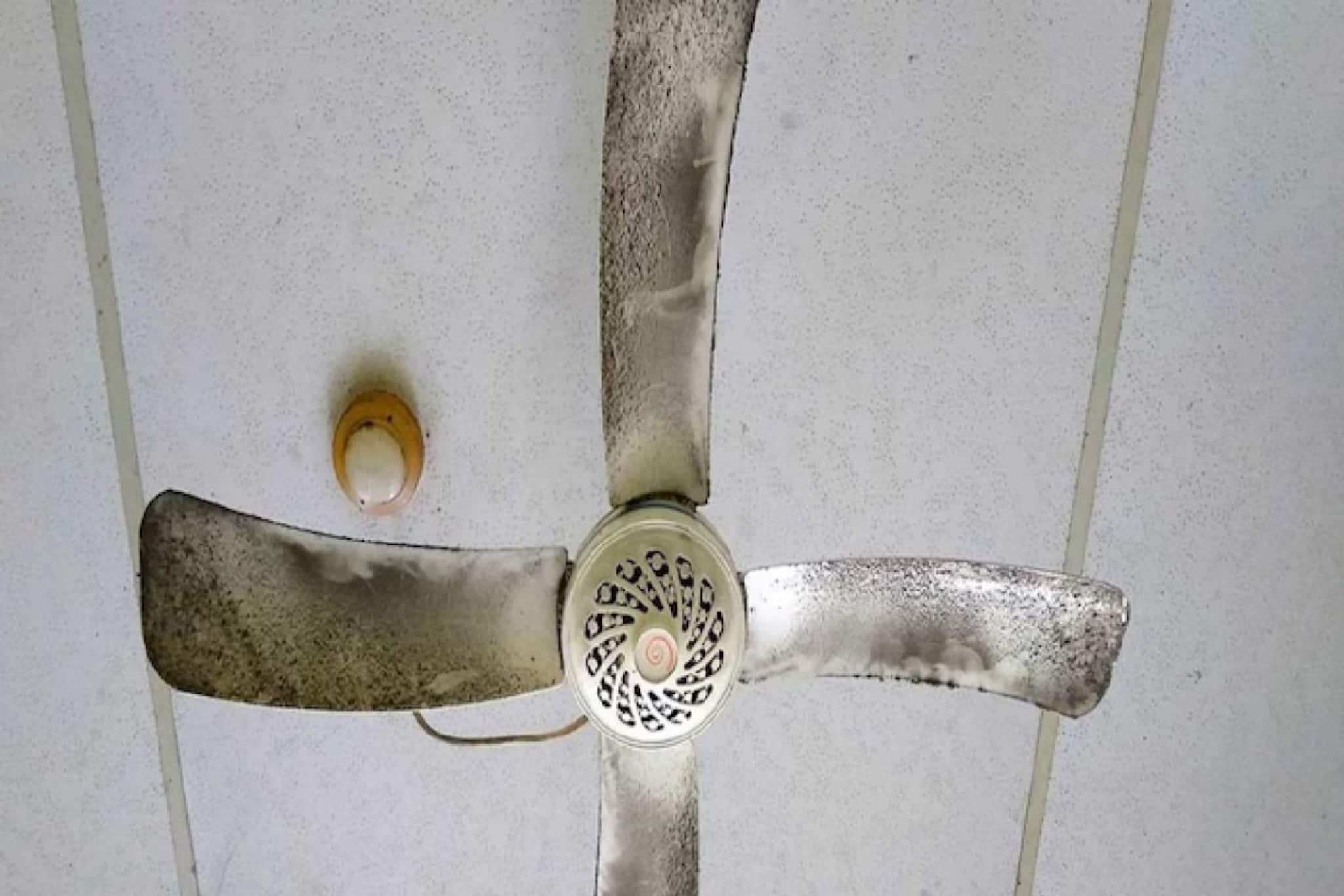 সারাদিন বন বন করে ঘুরছে পাখা? 'সিলিং ফ্যান' টানা চললে বড় দুর্ঘটনা ...কত ক্ষণ চলা নিরাপদ?