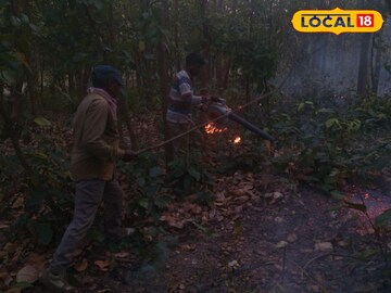 ব্লোয়ার