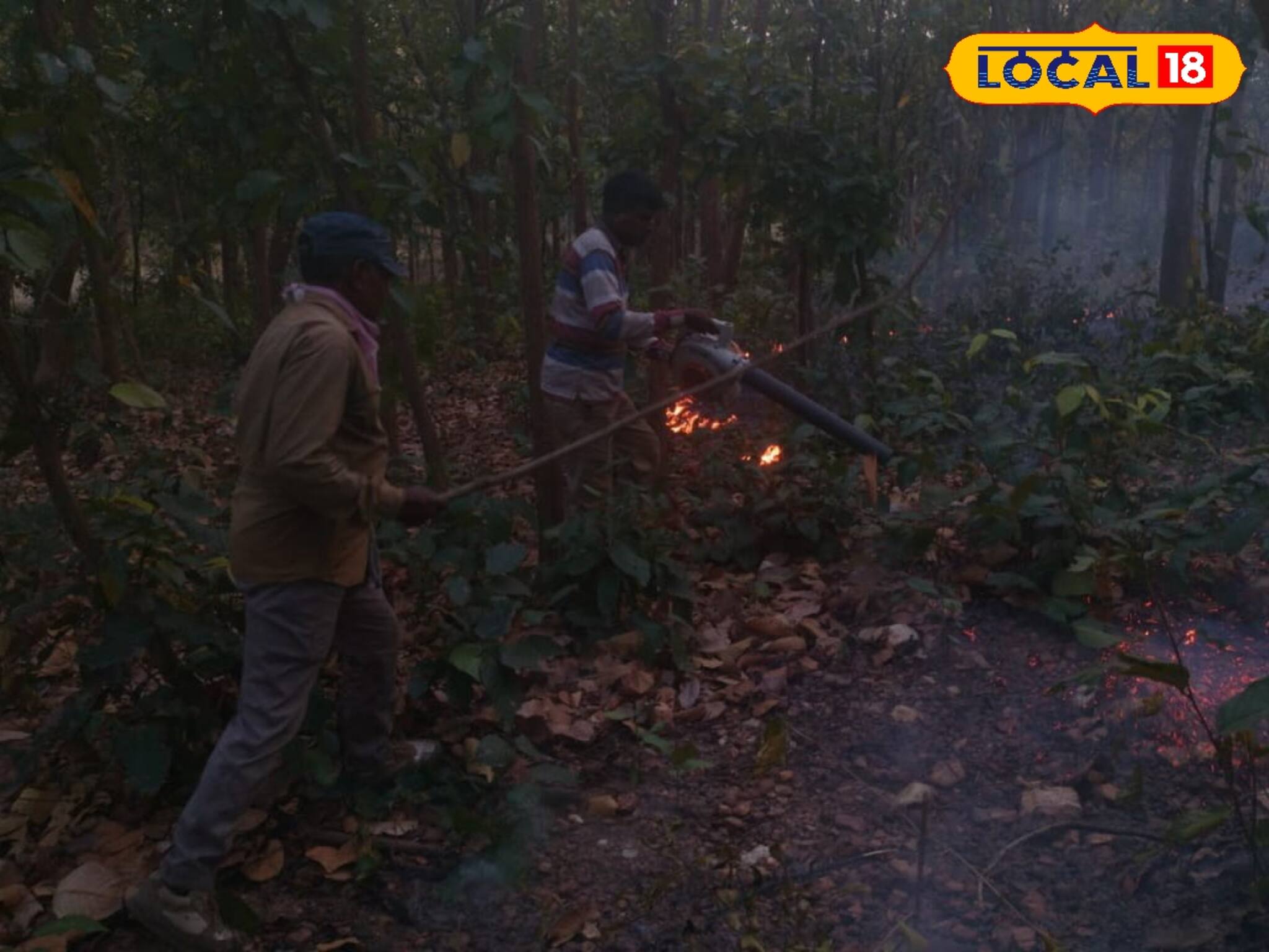 শুশুনিয়ার পর রানীবাঁধ, বাঁকুড়ার জঙ্গল পুড়ছে বারবার
