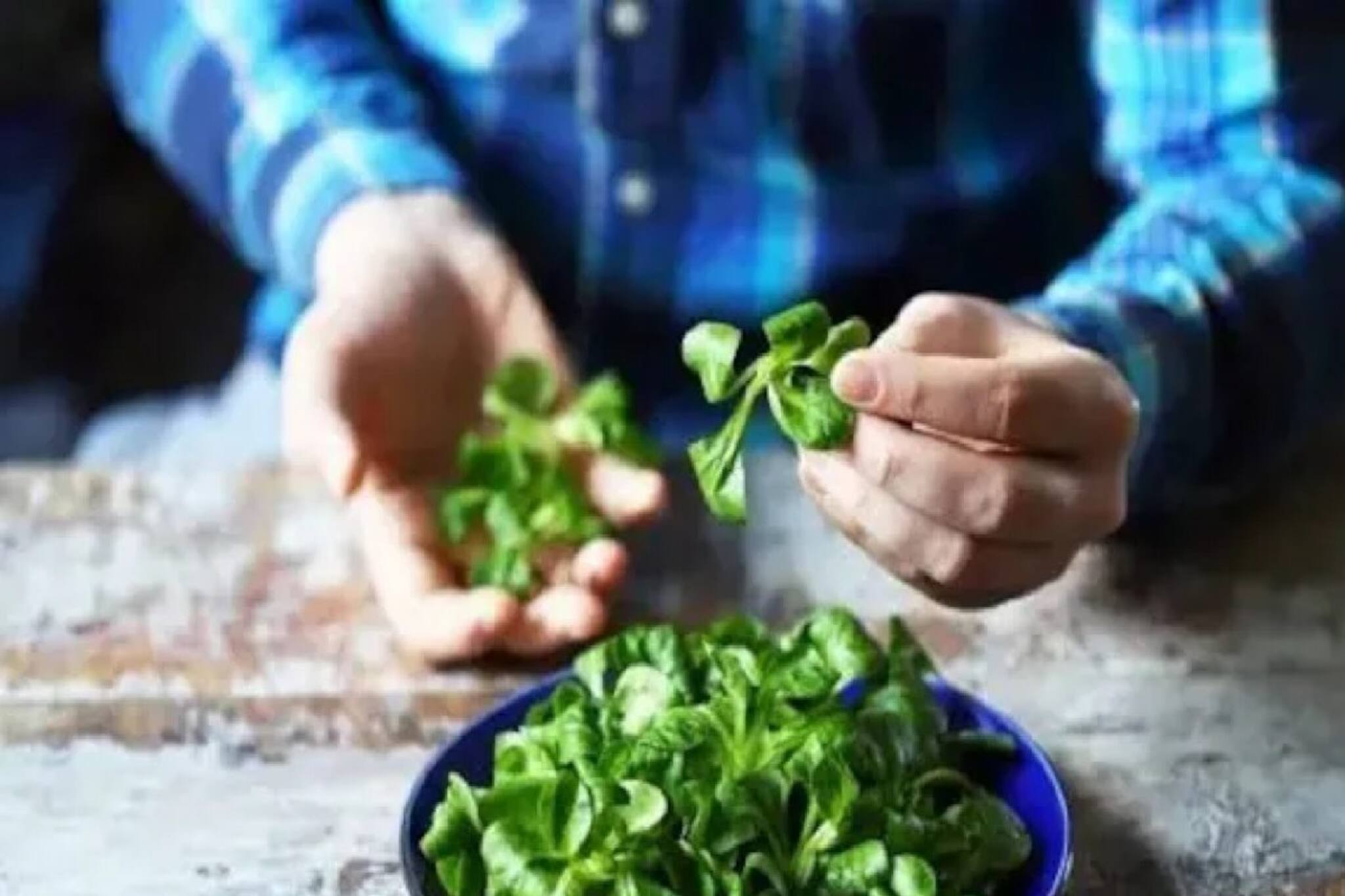 'সুপারফুড' হলেও অত্যন্ত বিপজ্জনক এই সবুজ শাক! 'অক্সালেট' থাকে, বেশি খেলেই ঝাঁঝরা হবে কিডনি