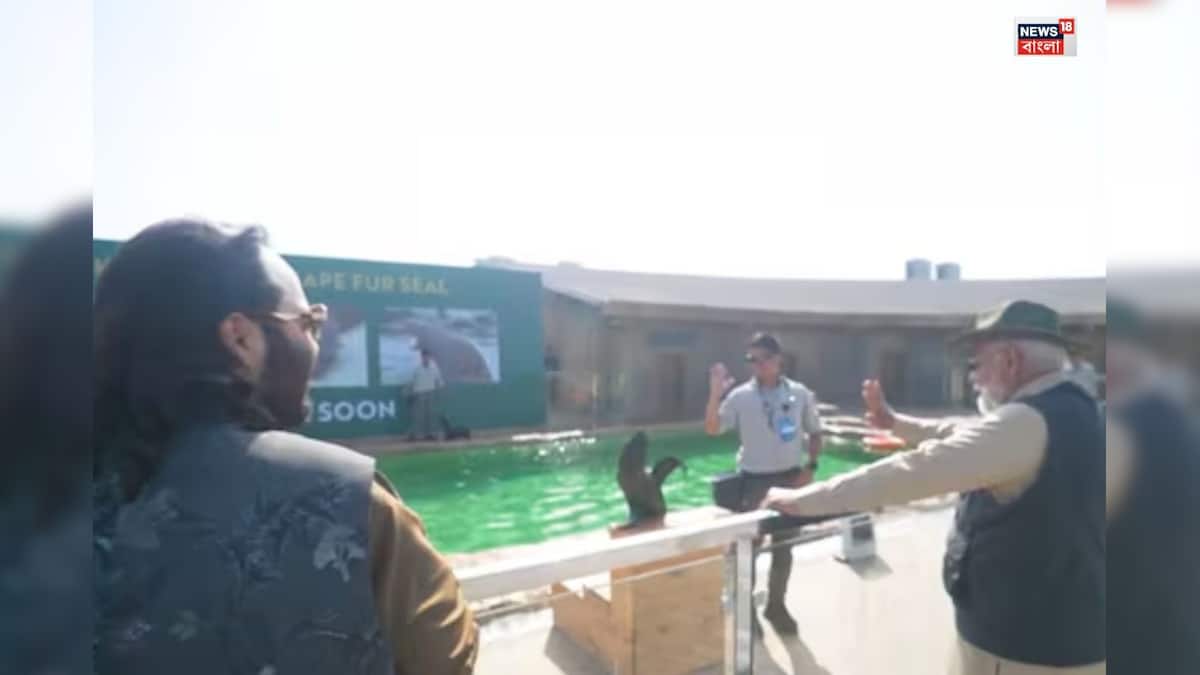 Anant Ambani’s Vantara: রণবীর সিং থেকে কারিনা কাপুর! অনন্ত আম্বানির ‘বনতারা-র’ প্রশংসা করল গোটা বলিউড