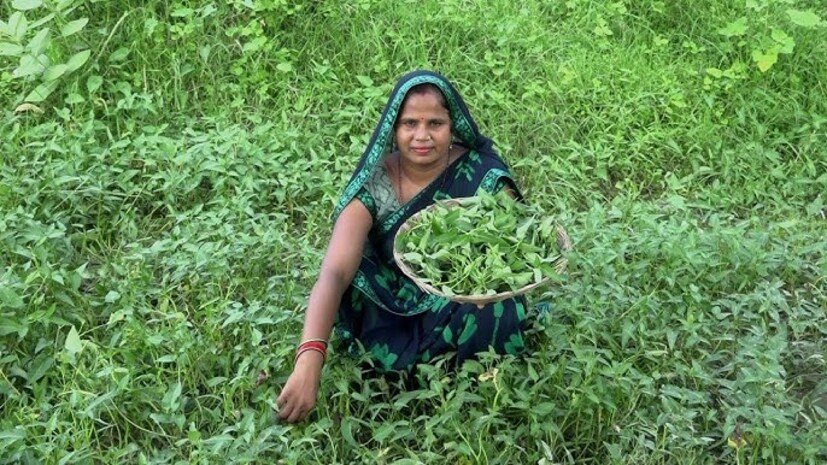 লিভারকে সুস্থ রাখবে:নারী শাক লিভারকে বিষমুক্ত করতে সাহায্য করে। তার মানে এই সবুজ শাকসবজি আপনার লিভার থেকে দূষিত পদার্থ দূর করতে সহায়ক। নারী শাকে উপস্থিত অ্যান্টি-অক্সিডেন্ট লিভারের এনজাইমগুলিকে সক্রিয় করে। যার ফলে আপনার লিভার সুস্থ থাকে।