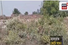 কুলতলিতে ম্যানগ্রোভ কেটে সাফ, সন্দেশখালিতে ম্যানগ্রোভ বাঁচাতে গাছের গায়ে আবির