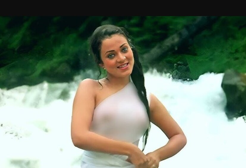 পরবর্তীতে তিনি আরও অনেক ছবিতে অভিনয় করেন। সেই ছবিগুলির মধ্যে কিছু হিট হয়েছিল এবং কিছু ফ্লপ হয়েছিল। কিন্তু তাঁর ক্যারিয়ারের শীর্ষে থাকাকালীন, তিনি চলচ্চিত্র থেকে নিজেকে দূরে সরিয়ে নেন এবং বিয়ে করেন। তাঁর দুটি সন্তান রয়েছে। ২৬ বছর পর, মন্দাকিনী আবার ফেরেন এবং আলোচনায় শীর্ষে উঠে আসেন। 