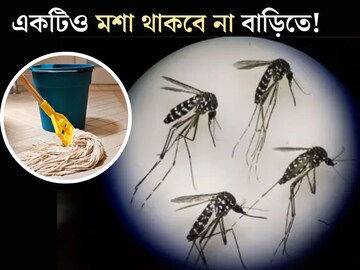 ঝাঁক ঝাঁক মশার উত্‍পাতে নাজেহাল? ঘর মোছার জলে মেশান এই জিনিস! একটা মশাও থাকবে না বাড়িতে