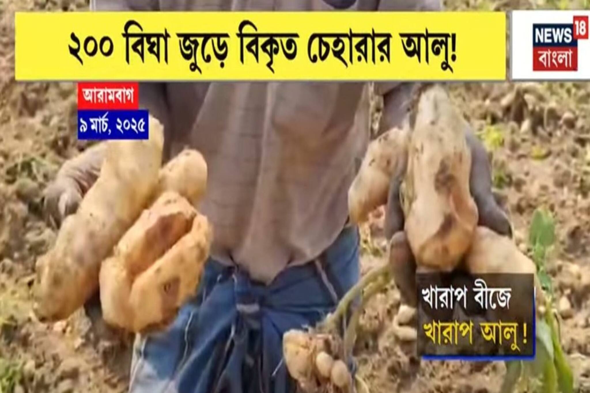 আরামবাগে খারাপ বীজে খরাপ আলু,ক্ষতিগ্রস্ত চাষিদের পাশে দাঁড়াল প্রশাসন