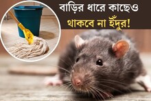 ঘর মোছার জলে ফেলে দিন এক টুকরো...বাড়ির ছায়াও মাড়াবে না ইঁদুর!