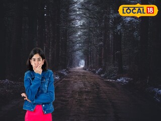 জঙ্গলের রাস্তা জঙ্গলের রাস্তা