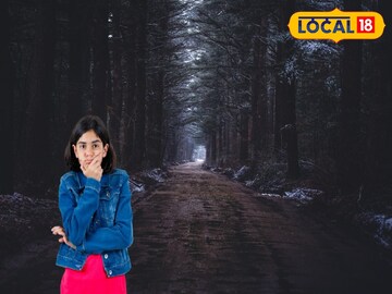 জঙ্গলের রাস্তা জঙ্গলের রাস্তা